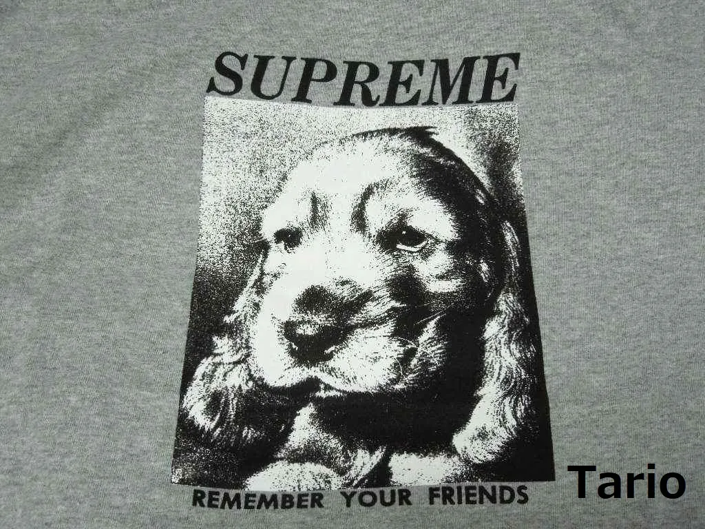 Supreme  |Street Style Cotton Short Sleeves Skater Style T-Shirts